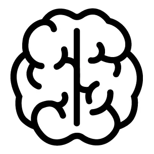 Salud para el cerebro y los nervios